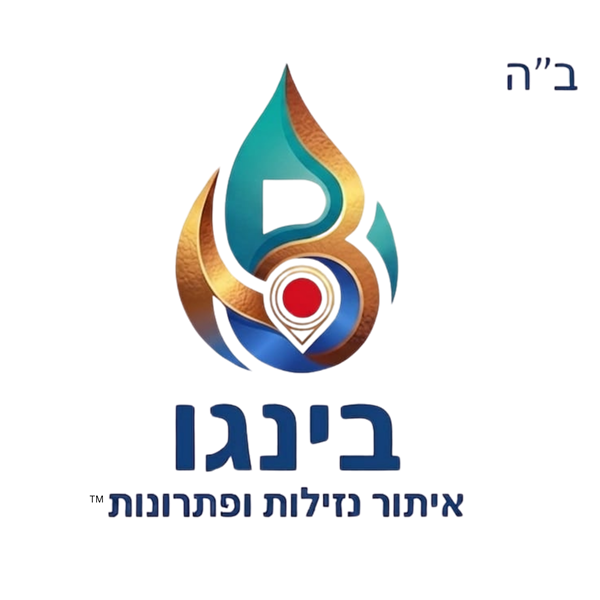 בינגו איתור נזילות ופתרונות