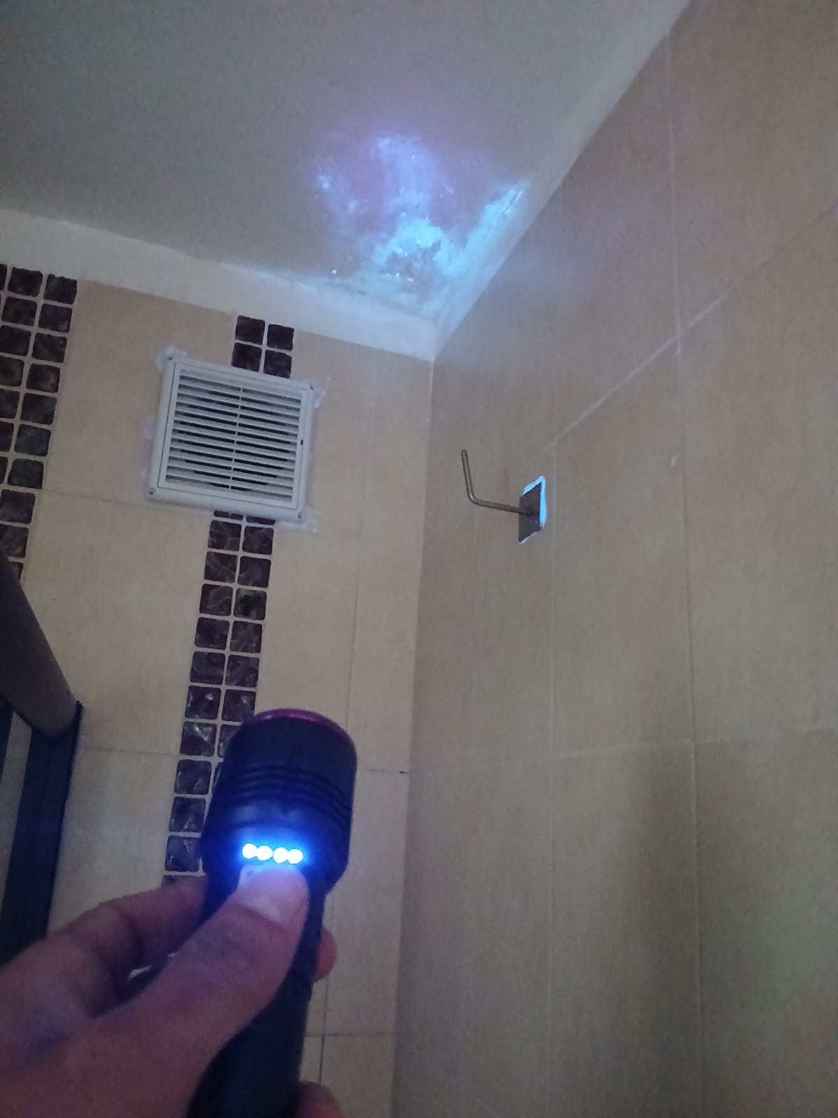 פנס UV לזיהוי צבע פלואורסצנטי